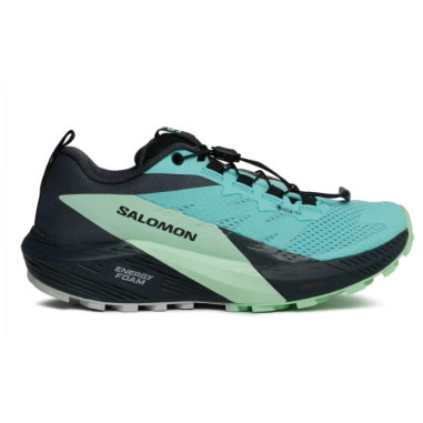 Chaussures Running SALOMON Femme SENSE RIDE 5 GTX Grise / Bleue AH 2023