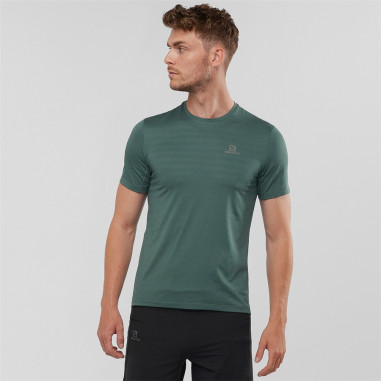 T Shirt Running SALOMON Homme XA Tee M Kaki PE 2020